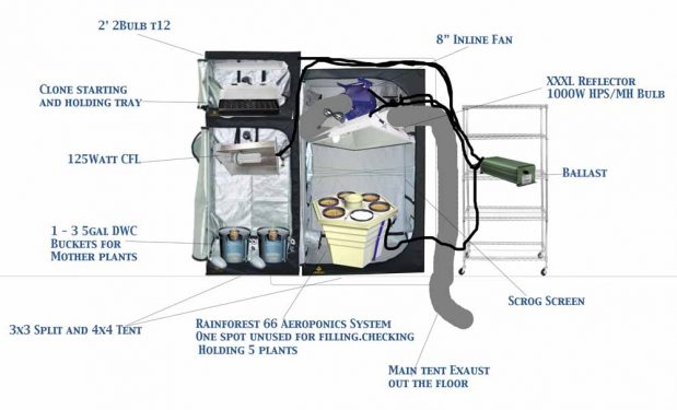 How To Set Up A Grow Tent A Complete Guide Mygardenplant