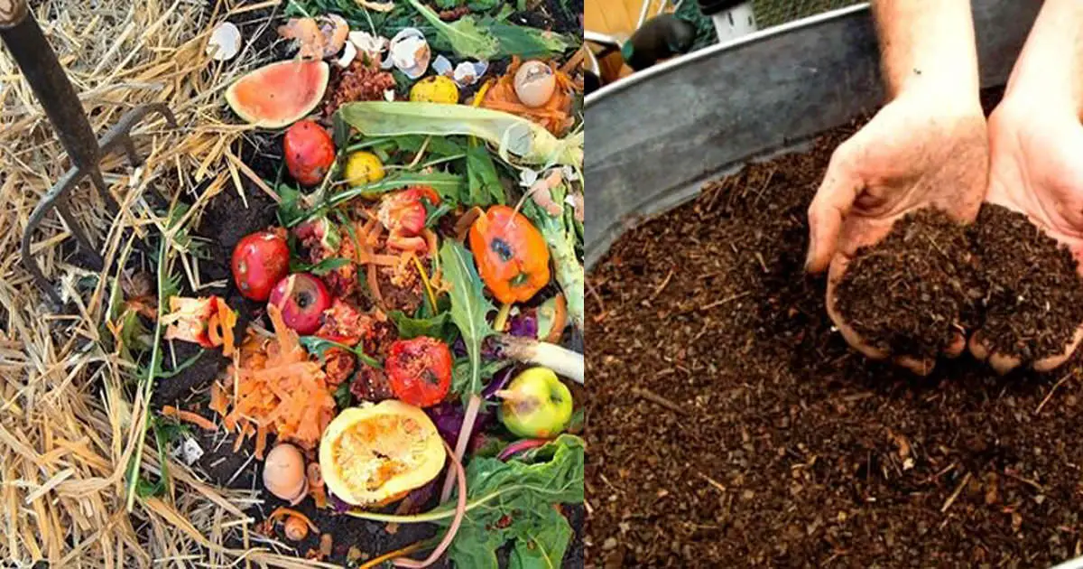 Composting The Ultimate Compost Guide For Home Gardeners My Garden Plant