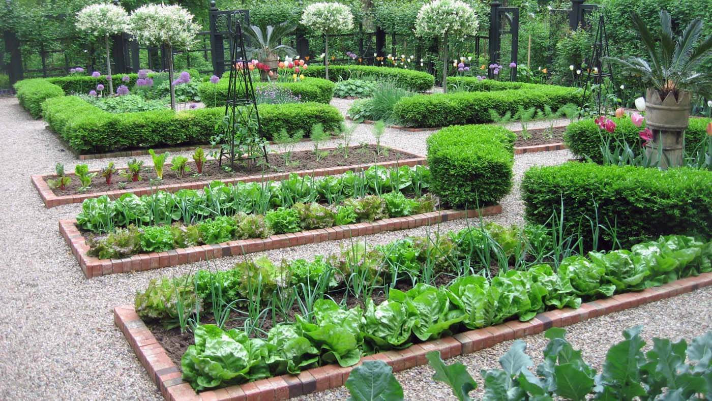 vegetable garden layout