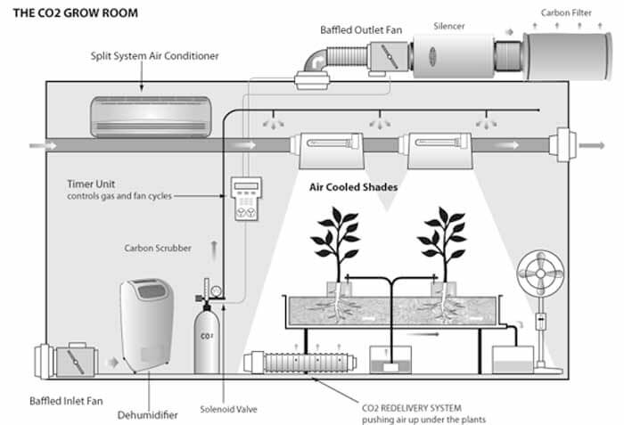 grow room setup