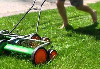 Push Reel Lawn Mower - Types of Lawn Mowers