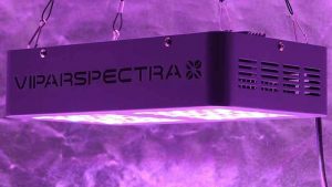 viparspectra review