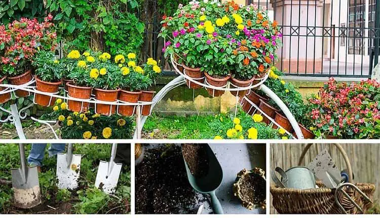 Easy Gardening Tips and Tricks