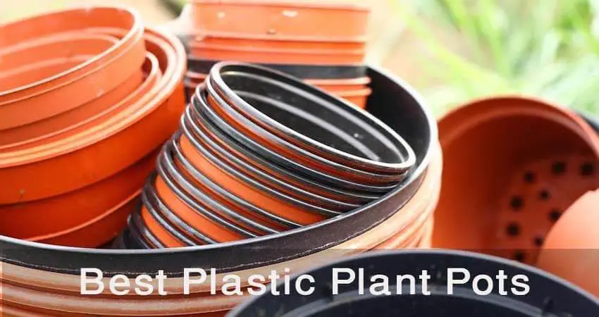 Plastic Plant Pots