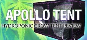 Apollo-Grow-Tent