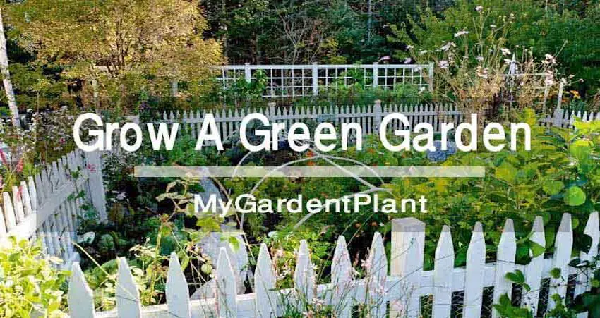 Green-Garden