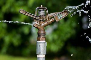 Water Sprinkler For Deer-Proof Gardens