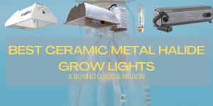 Ceramic Metal Halide Grow Lights