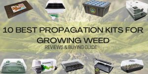 Propagation Kits for Growing Weed