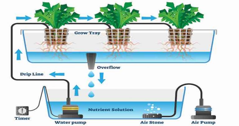 Best Air Pump for Hydroponics System: A Buying Guide - My Garden Plant