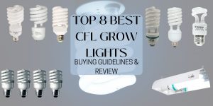 Best CFL Grow Lights