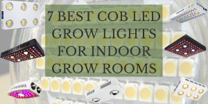 COB LED Grow Lights for Indoor Grow Rooms