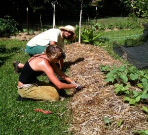 Master Composter