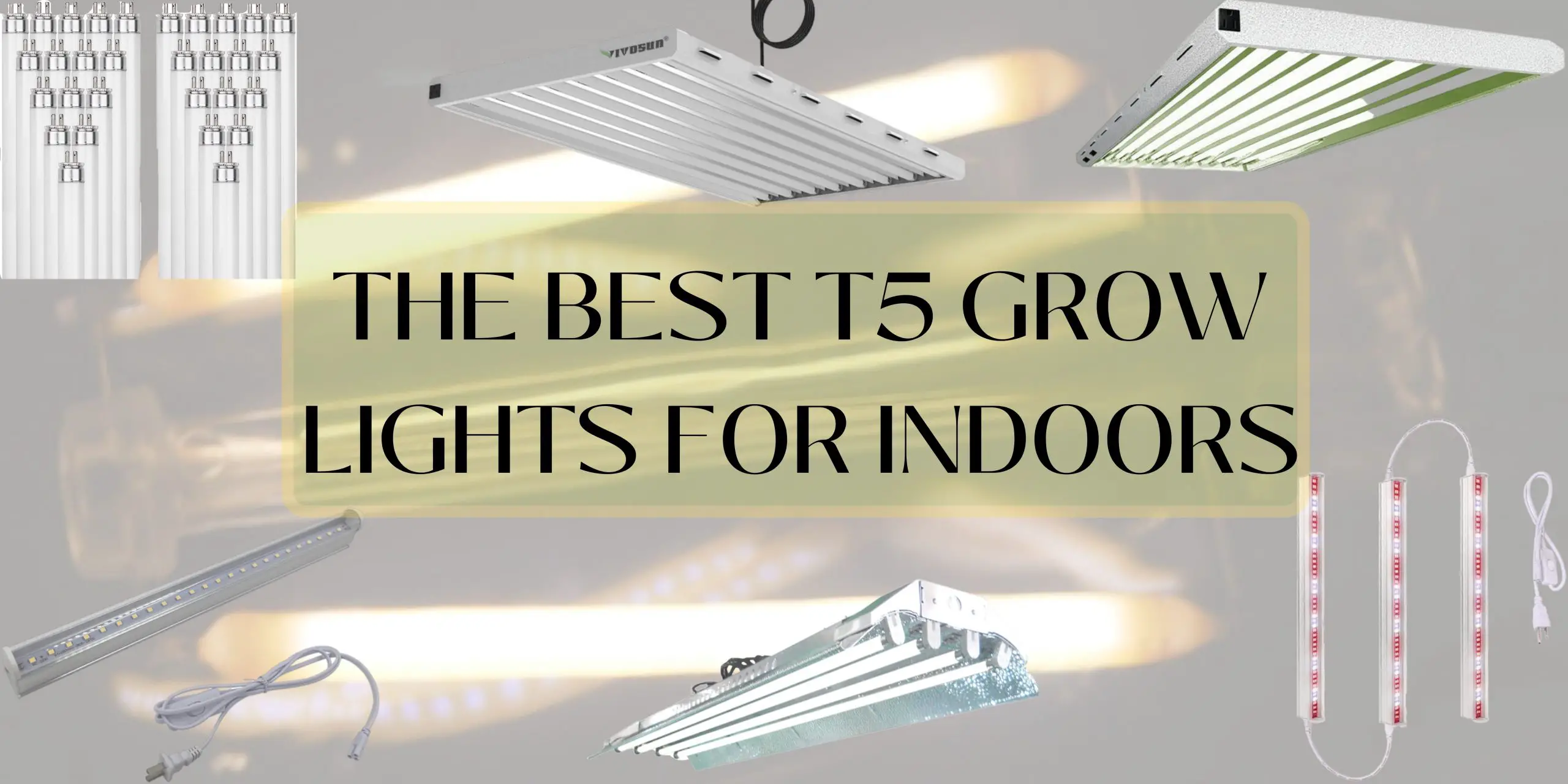 T5 Grow Lights for Indoors