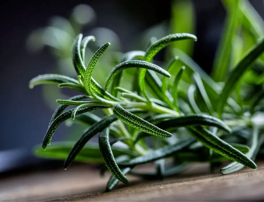 How to prepare herbs before freezing