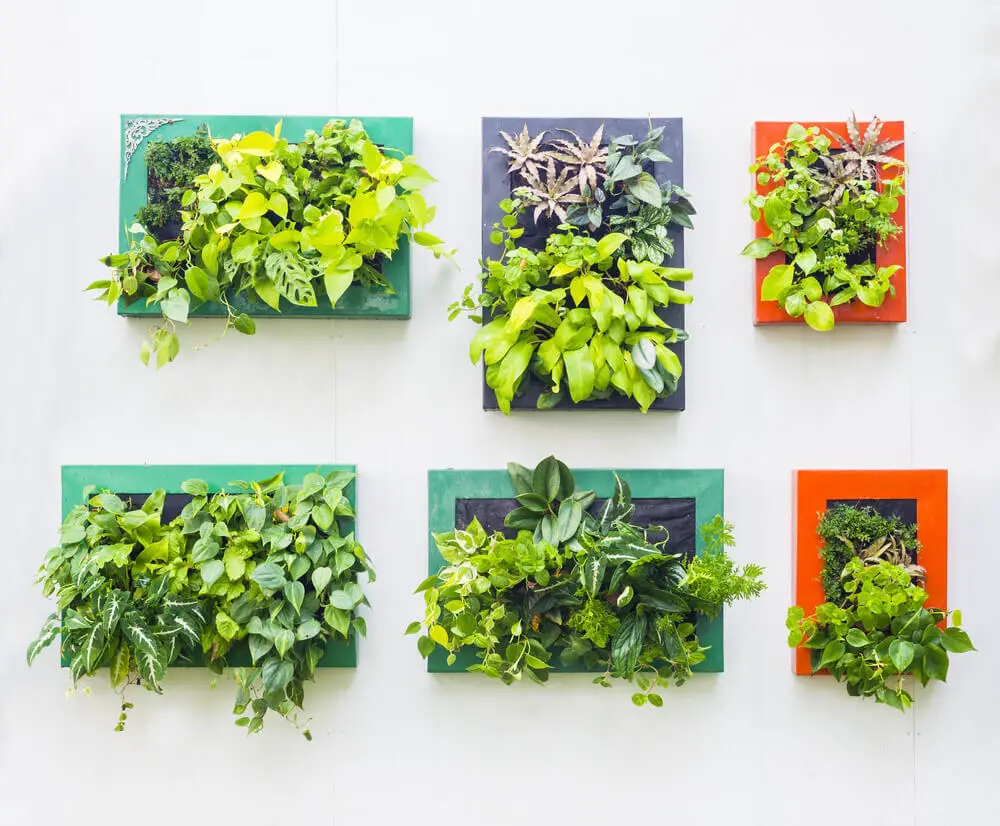 Benefits of vertical farming at home