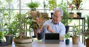 Indoor Gardening Activities For Seniors