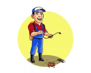 Should you kill ants