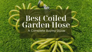 Best Coiled Garden Hose